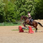 Reitlehrgang mit Sabrina Stopfkuchen
