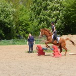 Dressur- und Springgymnastiklehrgang